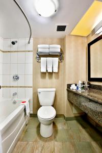 温尼伯市中心丽笙酒店 的一间浴室