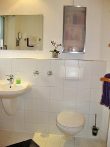 维梅河畔罗滕堡Ferienhaus-in-Rotenburg的一间带卫生间、水槽和镜子的浴室