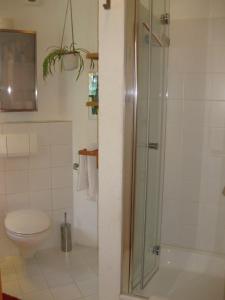 维梅河畔罗滕堡Ferienhaus-in-Rotenburg的一间带卫生间和玻璃淋浴间的浴室