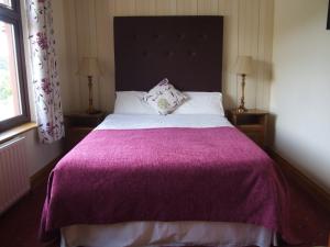 肯梅尔奥塞切欧哈巴住宿加早餐旅馆的一间卧室配有一张大床和紫色毯子
