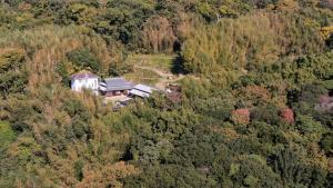 南淡路市猫と図書館のある宿 草地家 Kusachike的森林中间房屋的空中景观