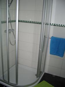 BardowickKleines-Ferienhaus-bei-Lueneburg的带淋浴和蓝色毛巾的浴室