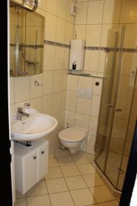 费曼城堡Direkt-am-Suedstrand的浴室配有卫生间、盥洗盆和淋浴。