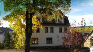 NeudorfKleine-Fewo-Ebert-Green的前面有棵树的白色建筑