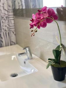 卡塞雷斯EL MIRADOR DE CACERES的浴室水槽上盆里的紫色花