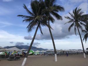 芽庄皇松酒店的海滩上的两棵棕榈树,配有椅子和遮阳伞
