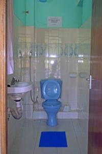 WundanyiTAITA LUXURY HOTELS LTD的浴室设有蓝色的卫生间和水槽。