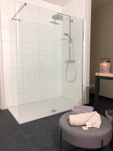 亨克Huis Berenbroek的带淋浴和毛巾凳子的浴室