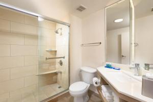 阿拉胡埃拉圣何塞机场智选假日酒店的带淋浴、卫生间和盥洗盆的浴室