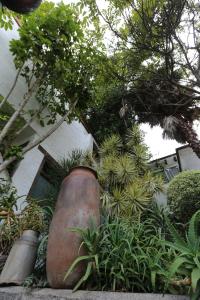 莫雷利亚洛马酒店的两只大花瓶坐在一个种有植物的花园内
