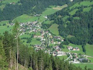 兰格尔斯道夫Ferien-am-Bauernhof-Wohnung-1的享有山脉村庄的空中景致