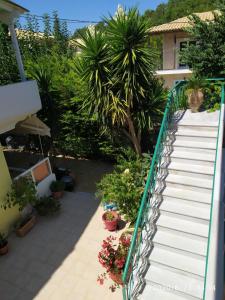 卡拉米锡雷尼亚公寓式酒店的通往植物之家的楼梯