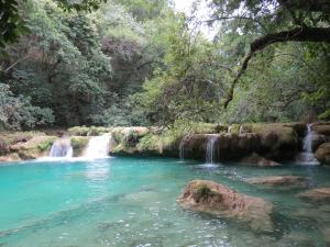 El NaranjoBel-Há Ecoparque的森林中河流中间的瀑布