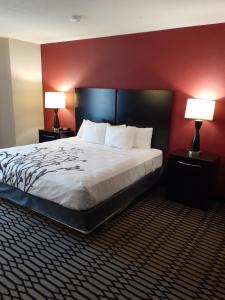 Sleep Inn & Suites BWI Airport客房内的一张或多张床位
