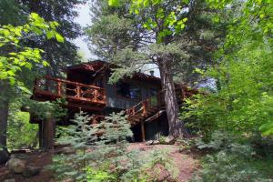 圣丹斯Treehouse On The Stream Sundance, Utah的相册照片