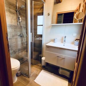 HlevciPine Lodge的带淋浴、盥洗盆和卫生间的浴室