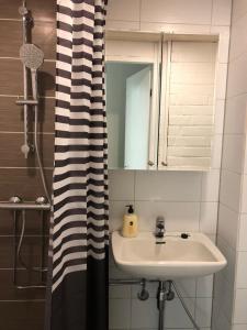 EvitskogHotel & Hostel Silmu的一间带水槽和淋浴帘的浴室