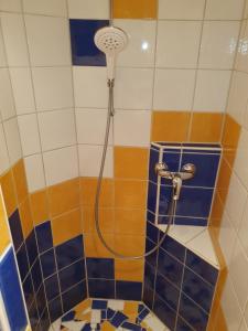 巴德米滕多夫Ferienwohnung Kristina的浴室铺有蓝色和白色瓷砖,设有淋浴。