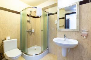 Corunca阿莱西亚餐厅酒店的带淋浴、卫生间和盥洗盆的浴室