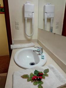 扎古拉Hôtel Le Tinsouline的浴室设有水槽,在柜台上放着鲜花
