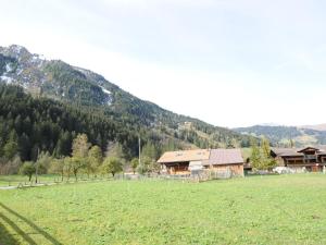 伦克apartment in Lenk in Simmental Bernese Oberland的一片带房子和山地的大型绿地
