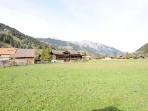 伦克apartment in Lenk in Simmental Bernese Oberland的一片绿草丛,有房子在后面