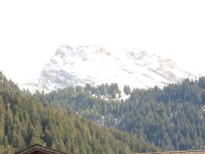 伦克apartment in Lenk in Simmental Bernese Oberland的前面有树木的雪覆盖的山