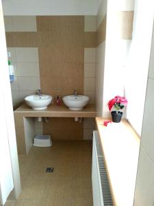哈约纳旅馆的一间浴室