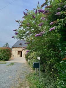 BaugéLe Logis de la Chouette的一座建筑前的灌木丛,花朵紫色