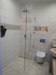 埃格尔Egria Apartments的带淋浴、卫生间和盥洗盆的浴室
