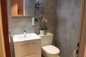 日内瓦拱廊饭店的一间带卫生间和水槽的浴室