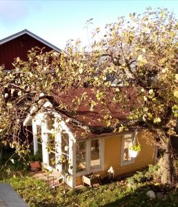 KasköFoggy Island B&B的前面有一棵树的小黄房子