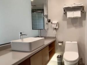 商丘GreenTree Inn Shangqiu Zhecheng Shanghai Road的浴室配有白色水槽和卫生间。