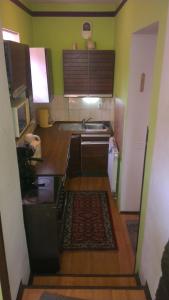 卡罗维发利拉达膳食公寓的一间带水槽和炉灶的小厨房