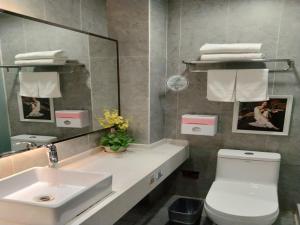 信阳格林联盟信阳平桥区南京路东阳酒店的一间带水槽、卫生间和镜子的浴室