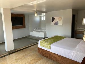 提华纳Hotel Aqua Rio的一间卧室配有一张床,浴室设有浴缸