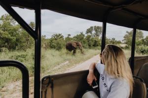 雾观Nkambeni Safari Camp的坐在公共汽车上的女人看着路上的大象