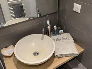 安锡Le Thiou Paradise Annecy的浴室设有白色水槽和镜子