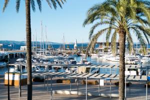 拉萨维纳Hostal Bellavista Formentera的棕榈树和水中船只的码头
