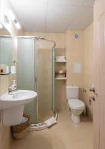 帕莫瑞Aquamarine的带淋浴、卫生间和盥洗盆的浴室