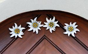 施伦斯Haus an der Litz的木门顶上的四朵白色花