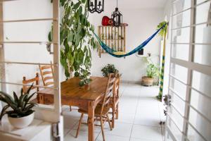 瓜达拉哈拉Casa Canario Hostel的用餐室配有木桌和植物