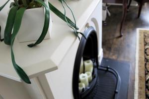圭尔夫诺尔福克旅馆的植物台下的洗衣机和烘干机