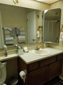 圣奥古斯丁海滩Island Life的一间带水槽、镜子和卫生间的浴室