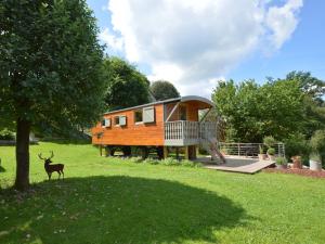 马尔梅迪Charming Holiday Home in Malmedy with Sauna Terrace BBQ的一只鹿站在草地上的小房子