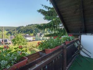 伦韦格地区诺伊豪斯holiday home with sauna Thuringian Forest的房屋内种植盆栽植物的阳台