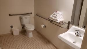 英格尔伍德LAX皇家世纪酒店的一间带卫生间、水槽和镜子的浴室