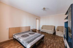 赤塔Dekabrist apartment on Anokhina 120A的一间卧室配有一张床、一张沙发和一台电视。