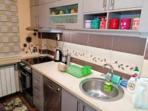 新瓦罗什Apartman Aleksandar的厨房水槽和绿篮