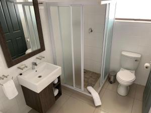 纽卡斯尔Airport lodge Newcastle的浴室配有卫生间、盥洗盆和淋浴。